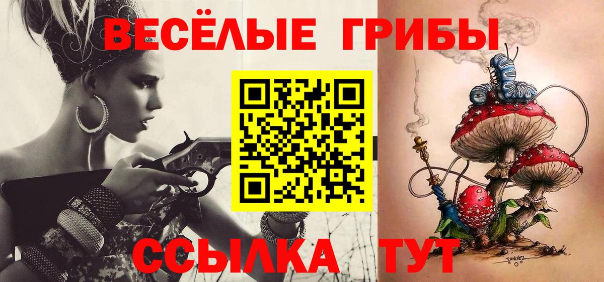 Псилоцибиновые грибы Psilocybine cubensis Советская Гавань
