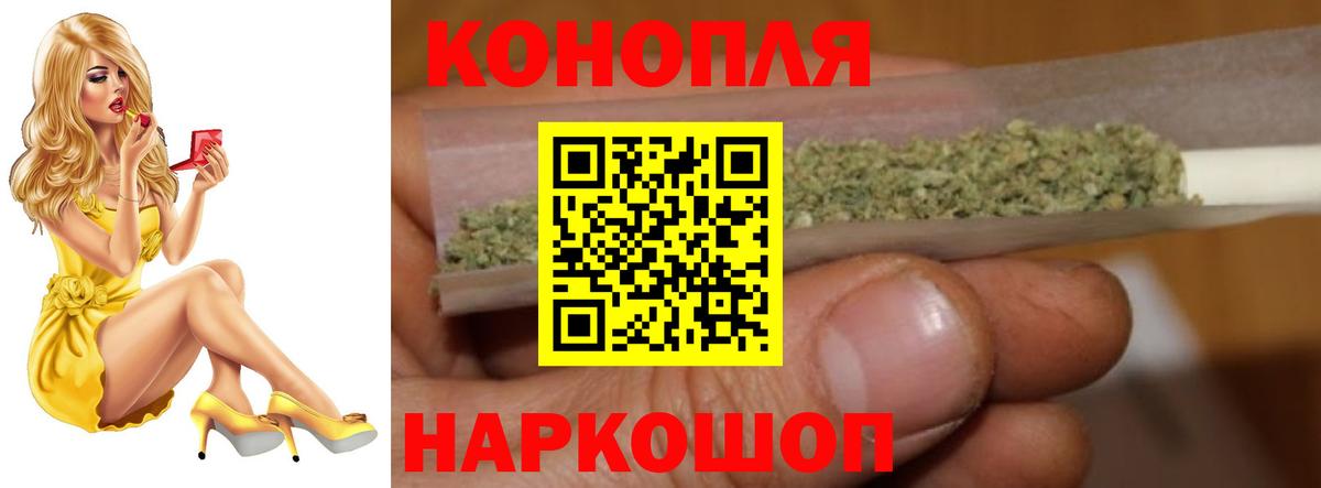 Конопля сатива Советская Гавань